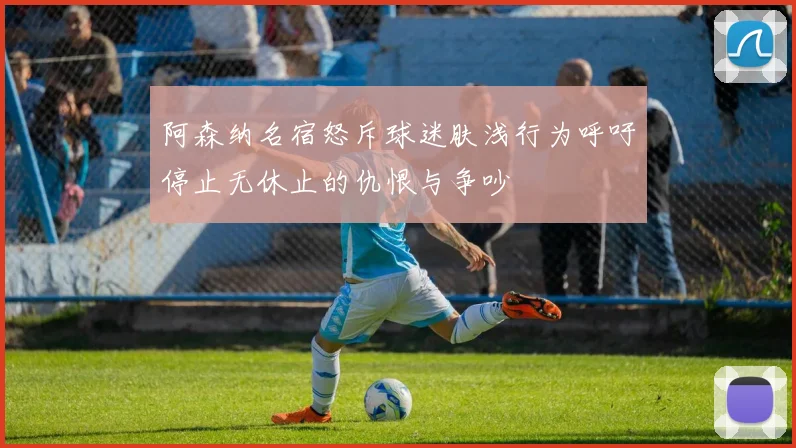 阿森纳名宿怒斥球迷肤浅行为呼吁停止无休止的仇恨与争吵